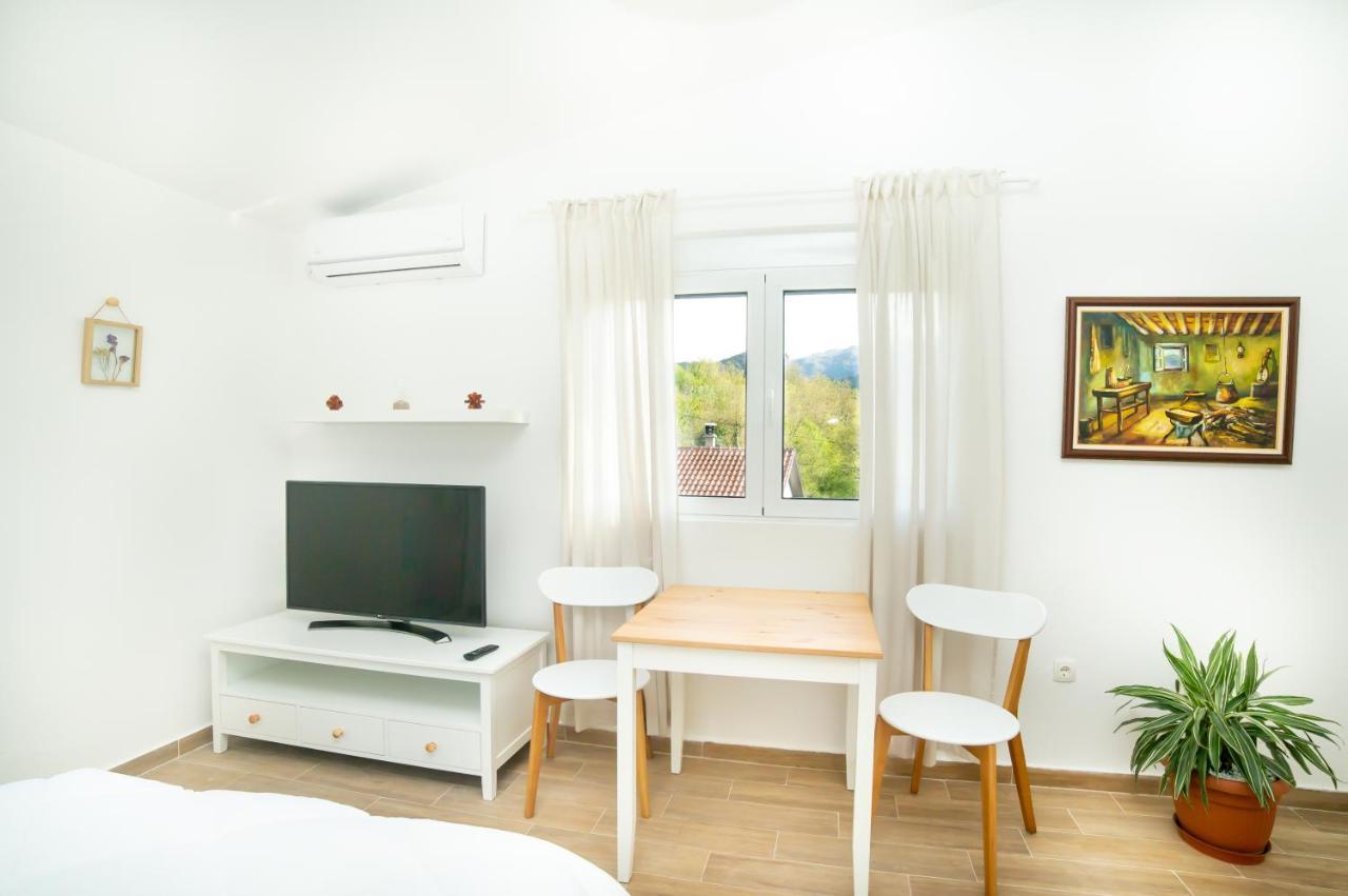 Apartment Plamenatz *