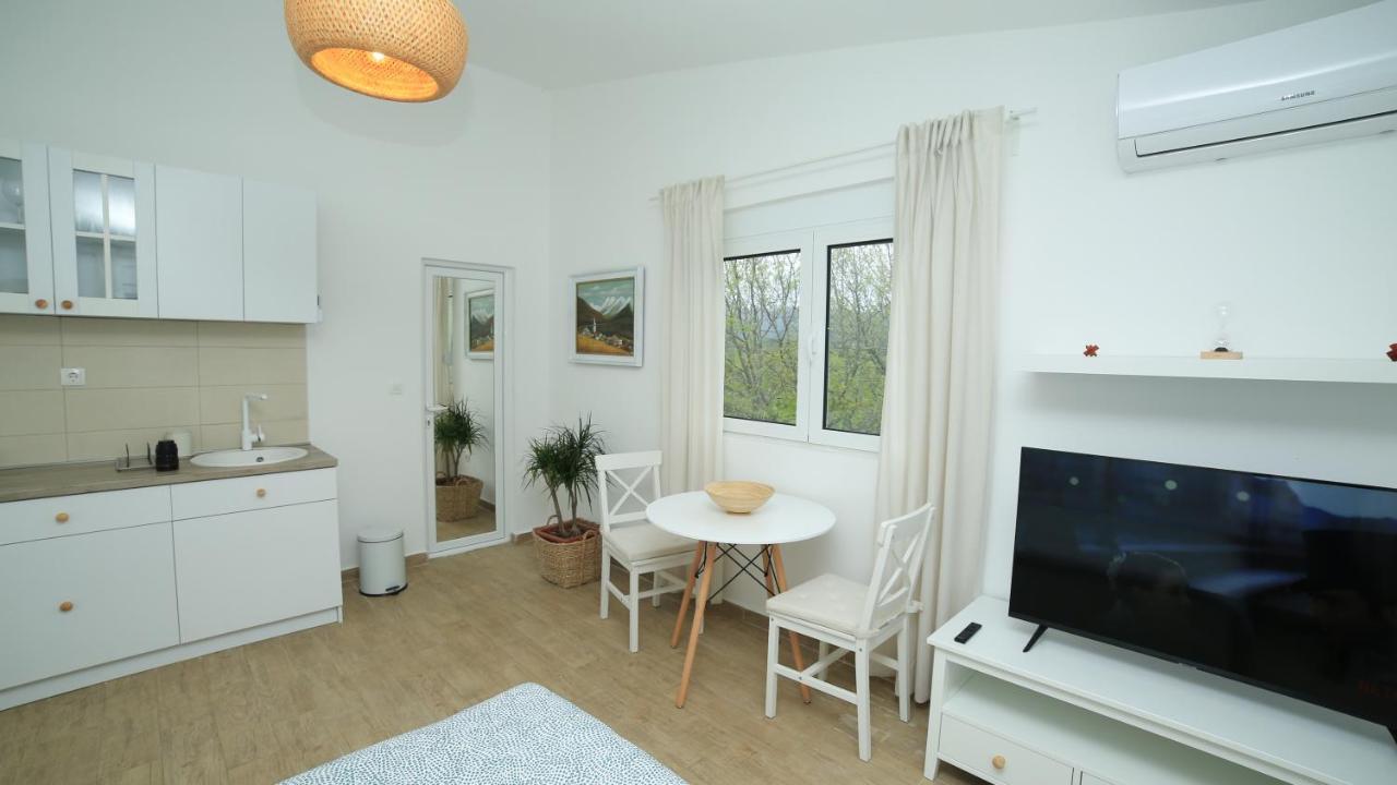 Apartment Plamenatz *